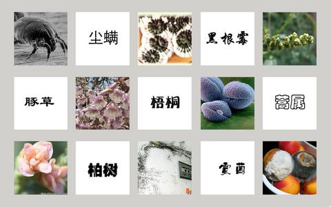 消除疤痕费用多少钱